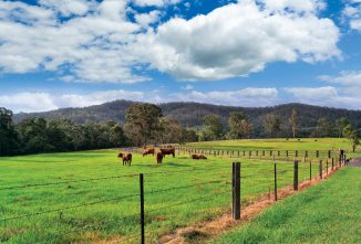 Adding a CAP to Your Farming Plan